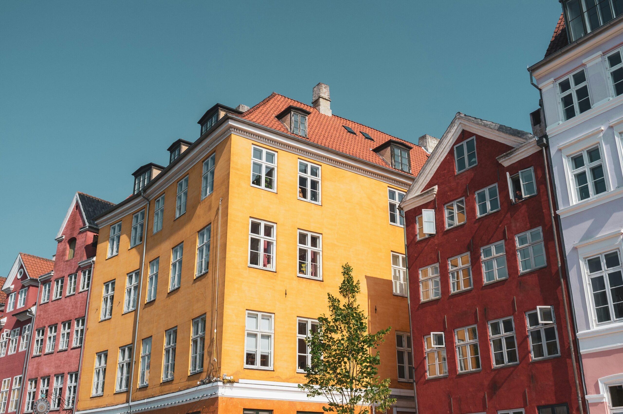 mihai-moisa-cPKrSPBfvHI-unsplash
